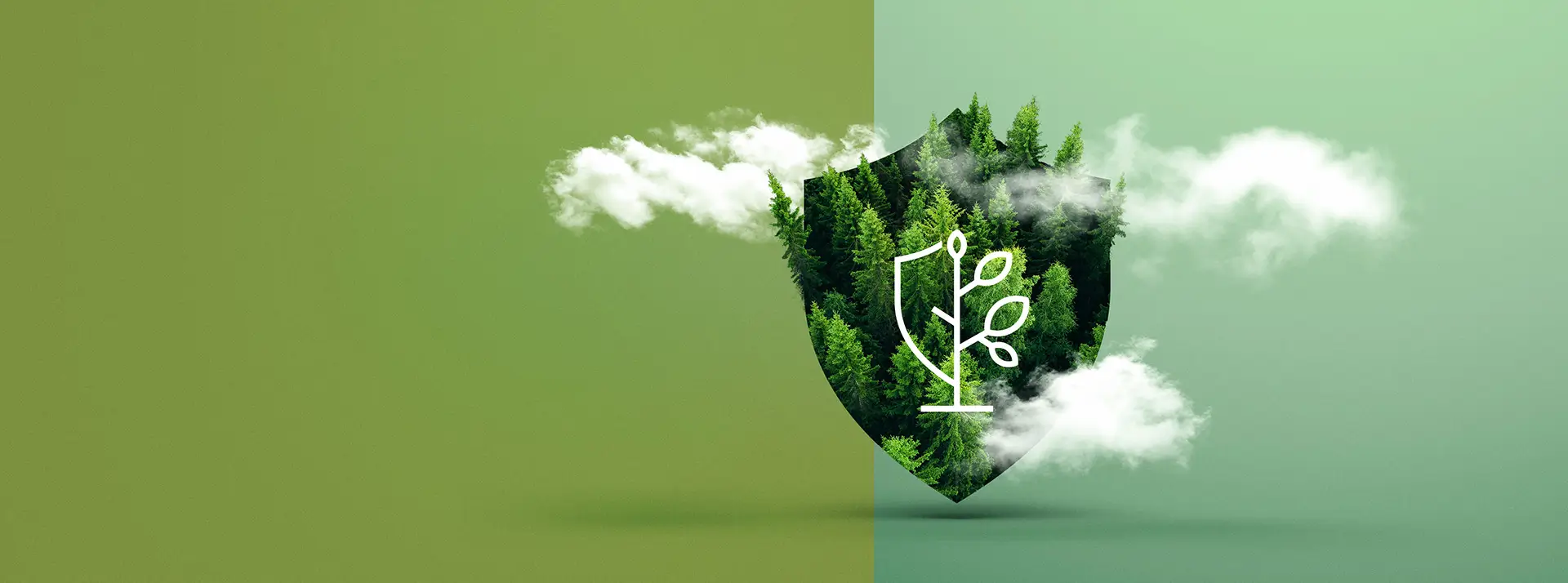 Kup polisę Volkswagen Financial Services online i posadź drzewo – akcja sadzenia drzew za każdą polisę.